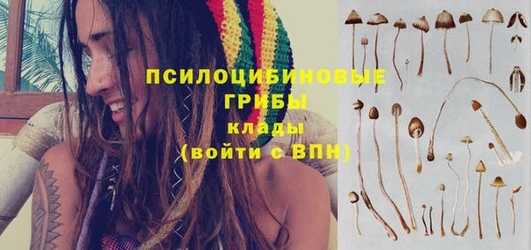 альфа пвп Киреевск