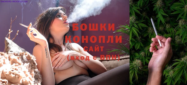 сатива Киренск