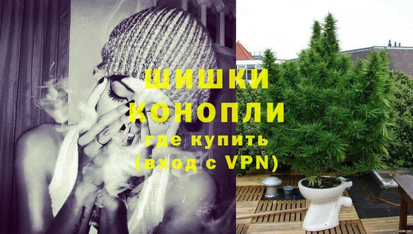 сатива Киренск