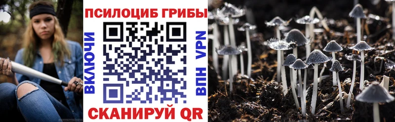 Псилоцибиновые грибы MAGIC MUSHROOMS  Купить закладки  Соликамск 